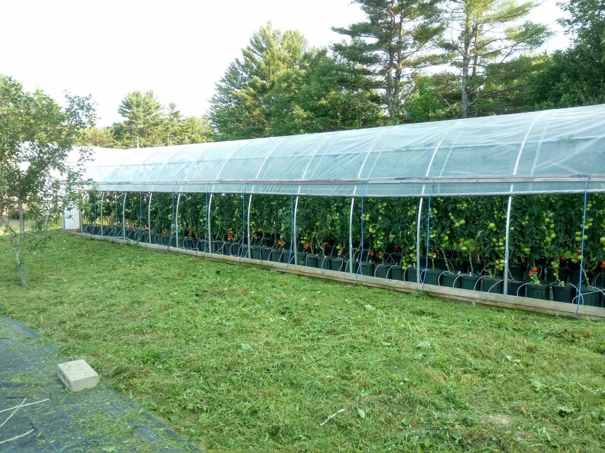 Home Farmfield Greenhouses 367 Carl Broggi Hwy Lebanon Maine